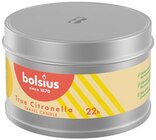 Duftkerze True Citronella im Angebot bei REWE in Karlsruhe Duftkerze True Citronella Angebote von Bolsius bei REWE Karlsruhe für 3,49 €