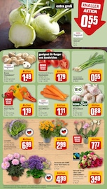 Aktueller REWE Prospekt mit Orchidee, "Dein Markt", Seite 9