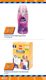 Action Hundefutter im Prospekt 