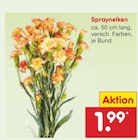 Aktuelles Spraynelken Angebot bei Netto Marken-Discount in Magdeburg ab 1,99 €