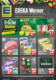 EDEKA Prospekt für Neuhausen: "Wir lieben Lebensmittel!", 30 Seiten, 08.12.2025 - 13.12.2025