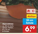 Alpenveilchen von  im aktuellen Netto Marken-Discount Prospekt für 6,99 €