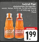 Sex on the Beach im Angebot bei E center in Voerde Sex on the Beach Angebote von Cocktail Plant bei E center Voerde für 1,99 €