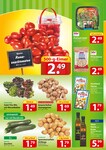 Bio Pilze Bio Pilze