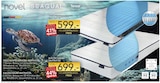 Taschenfederkern-Matratze Angebote bei BRAUN Möbel-Center Konstanz für 599,00 €