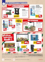 Catalogue Animalis en cours à Ivry-sur-Seine, "UN NOËL truffement MAGIQUE !", Page 11