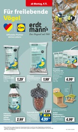 Aktueller Lidl Prospekt mit Gartendeko, "LIDL LOHNT SICH", Seite 25