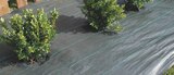 Toile de paillage - WEEDSOL dans le catalogue Espace Emeraude