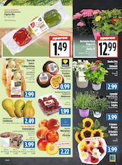 Blumen im EDEKA Prospekt in Gießen Aktueller EDEKA Prospekt mit Blumen, "Aktuelle Angebote", Seite 9