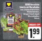 Salatrio mit Wurzelballen Angebote von EDEKA Herzstücke bei EDEKA Dresden für 1,99 €