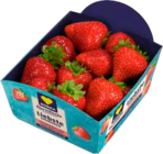 EDEKA Fehmarn Prospekt mit  im Angebot für 3,49 €