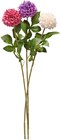 Aktuelles Dekorative Zweige aus Kunststoff Angebot bei Rusta in Bremen ab 0,99 €