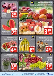 Aktueller EDEKA Prospekt mit Blumen, "Top Angebote", Seite 5