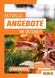 OBI Prospekt für Lüdenscheid mit 1 Seite OBI Prospekt für Lüdenscheid: AKTUELLE ANGEBOTE, 1 Seite, 01.10.2022 - 31.10.2022