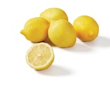 Promo Citrons à 0,95 € dans le catalogue Lidl à Langeac