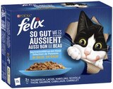 Katzenahrung bei REWE im Mayen Prospekt für 3,99 €