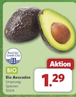 combi Steimbke - Bio Avocados Angebot im Prospekt Bio Avocados bei combi im Steimbke Prospekt für 1,29 €