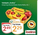Aktuelle Äpfel Angebote bei GLOBUS in Jena Aktuelles Tafeläpfel „Evelina“ Angebot bei GLOBUS in Jena ab 2,29 €