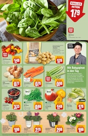 Ähnliche Angebote wie Eibe im Prospekt "Dein Markt" auf Seite 7 von REWE in Hildesheim