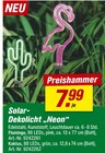 Solar-Dekolicht "Neon" Angebote bei toom Baumarkt Gera für 7,99 €