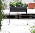 Blumenkasten „Viva“ bei Hornbach im Bremen Prospekt für 9,99 €