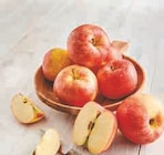 Pomme U - Les Produits U dans le catalogue U Express