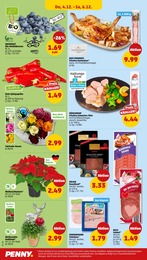 Deko Blumen im Penny Prospekt "Wer günstig will, muss Penny." auf Seite 48