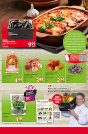 Aktueller Selgros Prospekt mit Äpfel, "cash & carry", Seite 8