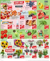 Deko-Blumen Angebote im Prospekt "MEHR SPAR€N MIT KAUFLAND!" von Kaufland auf Seite 10