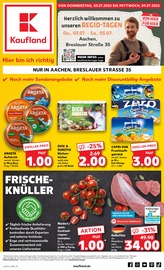 Aktueller Kaufland Prospekt mit Fleisch, "EXTRA-ANGEBOTE", Seite 1