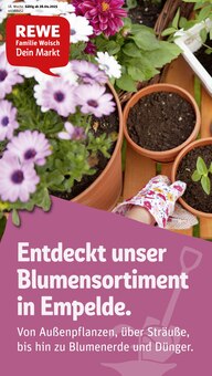 REWE Prospekt Dein Markt mit 34 Seiten