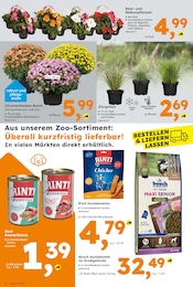 Ähnliche Lamm Angebote im Prospekt "Immer eine Idee besser" von Globus-Baumarkt in Bad Oeynhausen Ähnliche Angebote wie Lamm im Prospekt "Immer eine Idee besser" auf Seite 2 von Globus-Baumarkt in Bad Oeynhausen