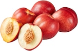 REWE Bad Sassendorf - Nektarinen Angebot im Prospekt Nektarinen bei REWE im Bad Sassendorf Prospekt für 1,49 €
