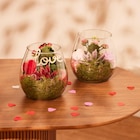 Promo Terrarium à 11,99 € dans le catalogue Carrefour à Pontault-Combault