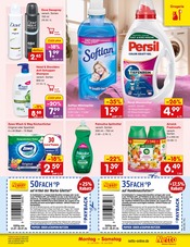 Ähnliche Fliegengitter Angebote im Prospekt "Aktuelle Angebote" von Netto Marken-Discount in Hof Ähnliche Angebote wie Fliegengitter im Prospekt "Aktuelle Angebote" auf Seite 49 von Netto Marken-Discount in Hof