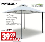 Aktuelles PAVILLON Angebot bei Wreesmann in Cottbus ab 39,99 €