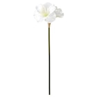 Kunstblume drinnen/draußen/Amaryllis weiß Angebote von VINTERFINT bei IKEA Lehrte für 3,49 €