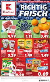 Kaufland Prospekt der aktuellen Woche, gültig von 23.10.2025 bis 29.10.2025 Aktueller Kaufland Prospekt "Aktuelle Angebote" mit 61 Seiten