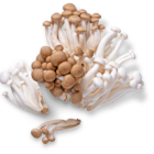 Ital. Kohlrabi, lose von  im aktuellen Kaufland Prospekt für 0,59 €