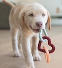 Hundespielzeug im Fressnapf Prospekt Hundespielzeug von AniOne Pepe & Kitty im aktuellen Fressnapf Prospekt fĂŒr 6,99 âŹ