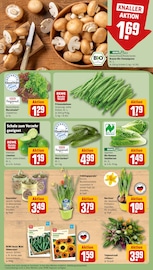 Ähnliche Pfifferlinge Angebote im Prospekt "Dein Markt" von REWE in München Ähnliche Angebote wie Pfifferlinge im Prospekt "Dein Markt" auf Seite 7 von REWE in München