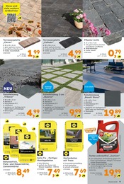 Ähnliche Angebote wie Porzellan im Prospekt "Immer eine Idee besser" auf Seite 11 von Globus-Baumarkt in Schorndorf