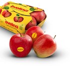 Aktuelle Äpfel Angebote bei Penny in Freiburg (Breisgau) Aktuelles EVELINA Deutsche rote Äpfel* Angebot bei Penny in Freiburg (Breisgau) ab 1,69 €
