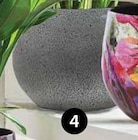 ÜBERTOPF ‘SELVA’ Angebote bei Dehner Garten-Center Sankt Augustin für 7,99 €