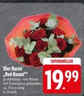 10er Rosen bei EDEKA im Neumarkt Prospekt für 19,99 €