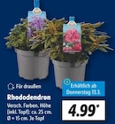 Lidl Lemgo Prospekt mit  im Angebot für 4,99 €