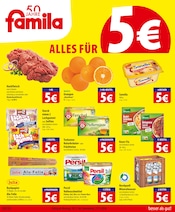 Aktueller famila Nordost Prospekt mit Persil, "besser als gut!", Seite 1