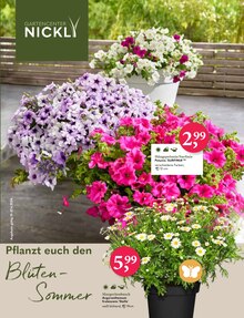 Gartencenter Nickl Prospekt Pfanzt euch den Blüten-Sommer mit  Seiten in Kolbermoor und Umgebung