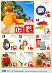 Garten im Marktkauf Prospekt in Greifswald Aktueller Marktkauf Prospekt mit Garten, "Top Angebote", Seite 4