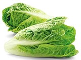 Romana Salatherzen im Angebot bei REWE in Hattingen Romana Salatherzen Angebote von REWE Bio bei REWE Hattingen für 1,59 €